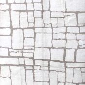 Fossil Design By K & H