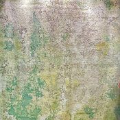 Sea Weed Design By K & H