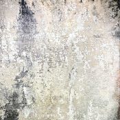 Warbler BW Design By K & H